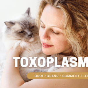 toxoplasmose enceinte hello bebe.fr