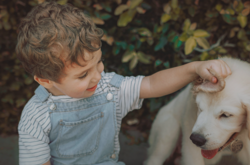 bienveillance et empathie chez l'enfant