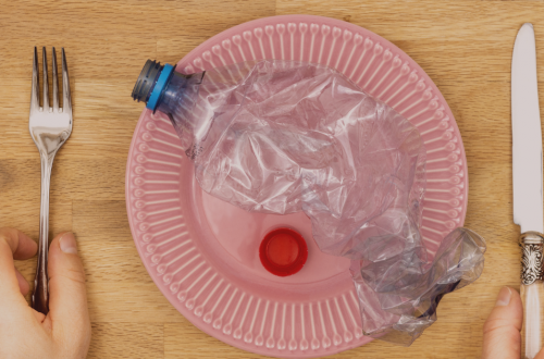 microplastiques dans l'alimentation, danger sur la santé de toute la famille