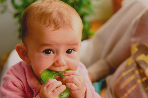 bébé mange anneau de dentition pour soulager sa poussée dentaire
